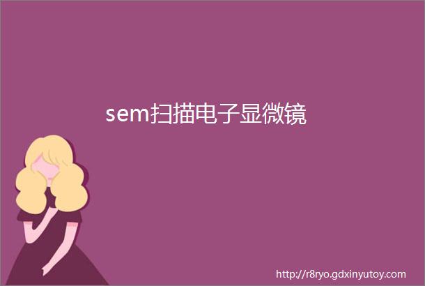 sem扫描电子显微镜