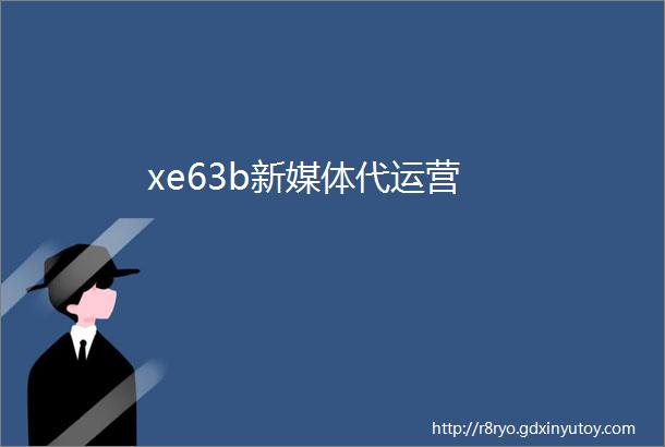 xe63b新媒体代运营